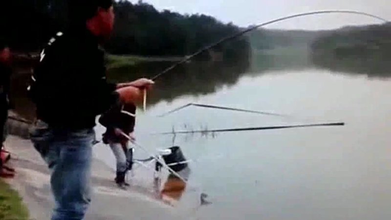 钓鱼视频教程