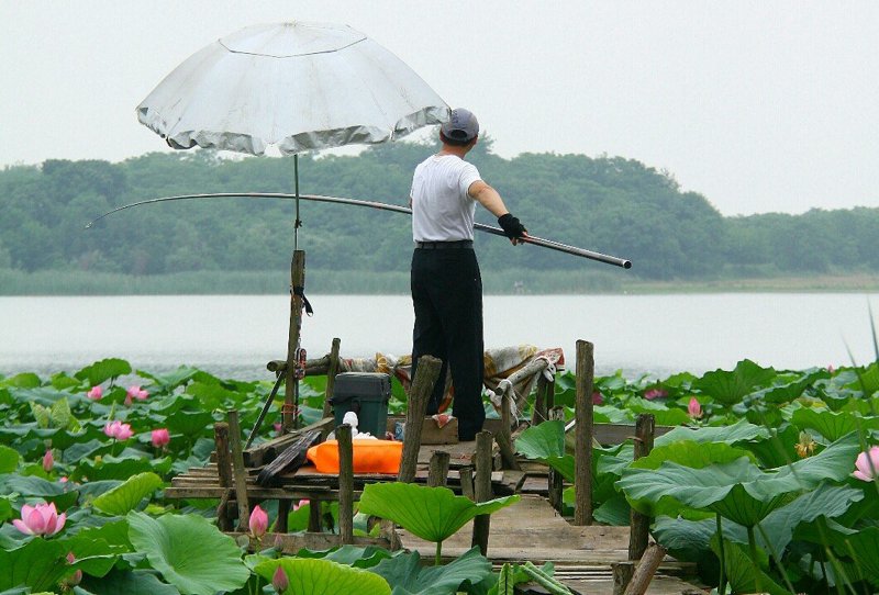 钓鱼天气查询
